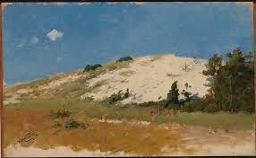 Dunes in Amagansett, LI