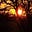 أَوْس's avatar