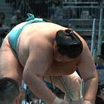 SUMO STOMP  SUMO TRON オートワウ SUMO STOMP】スモウストンプ『ベース用オートワウ』SUMO TRON
