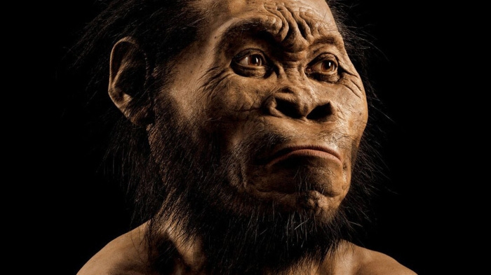 Naledi