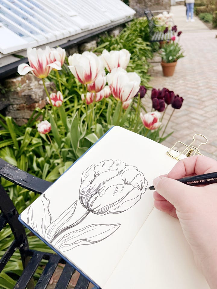 Approach Draw How I approach drawing from nature 🌿 - by Emma Webb