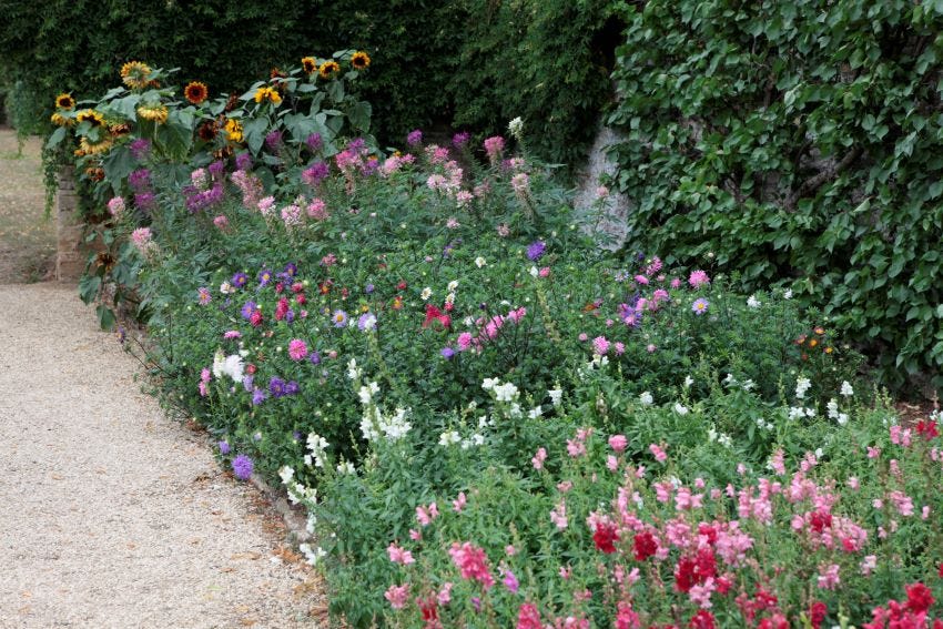 Rousham copyright Charles Hawes Rousham copyright Charles Hawes