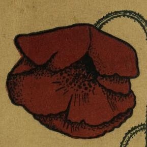 Artwork for Re: education