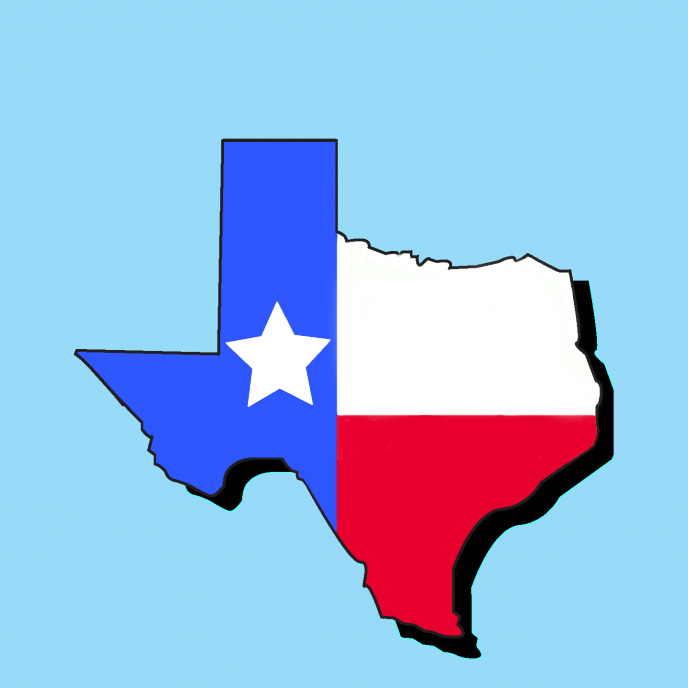 Substack profile picture for @texas