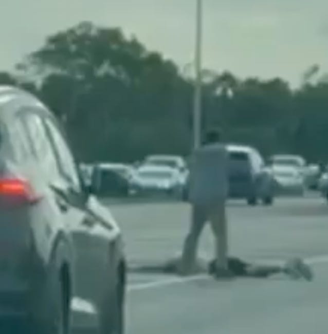 Road Rage Incident Near Skyway Bridge Leads to Armed Standoff, Dual Arrests