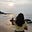 Shruti Singh's avatar
