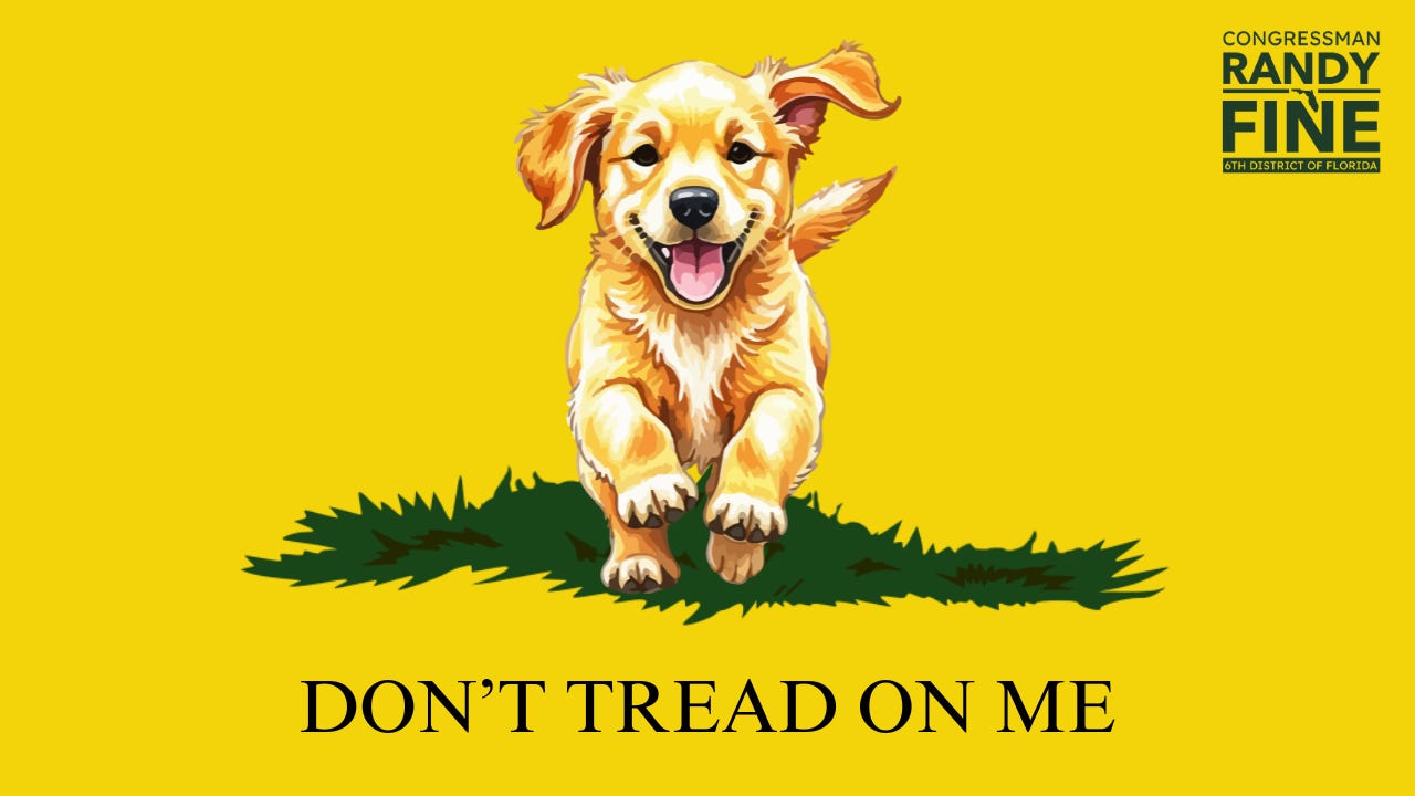 Don't Tread on Me Graphic