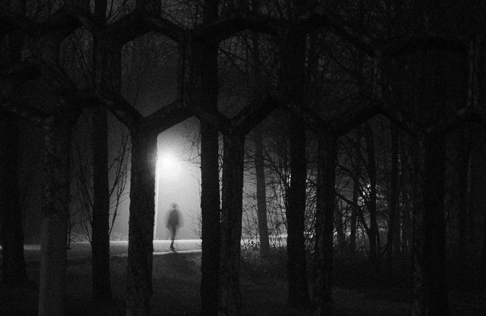How Seeing the Quiet Changes Your Photography