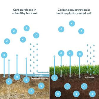 Soil & Climate – Soil Quest