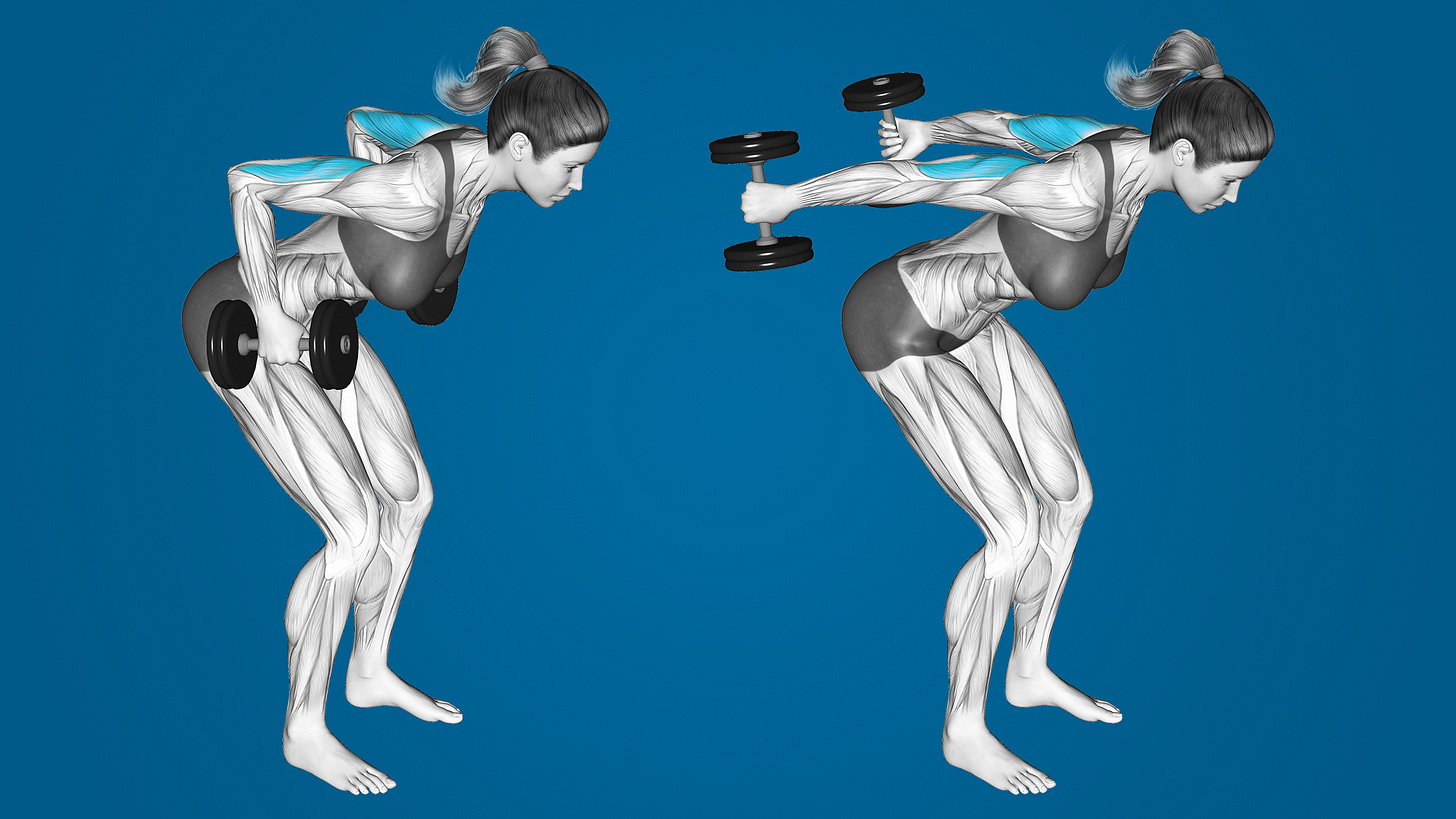 Bent-Over Tricep Kickbacks: Exercise Overview and How-To Guide - Lifting FAQ Bent-Over Tricep Kickbacks: Exercise Overview and How-To Guide - Lifting FAQ