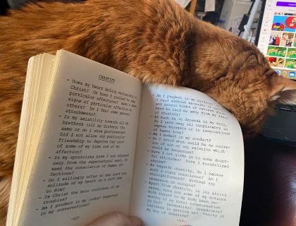 cat with small book