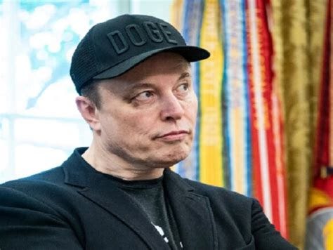 Did Stephen Miller Punch Elon Musk? Wild Theories about Musk's Black ...