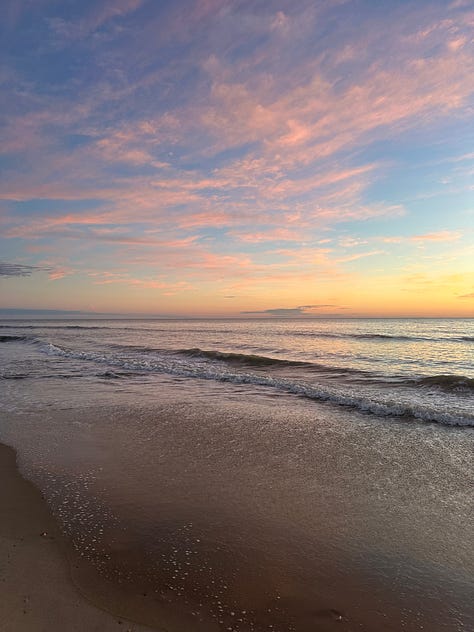 Shells, horses, and sunrises on the beach in Carova NC