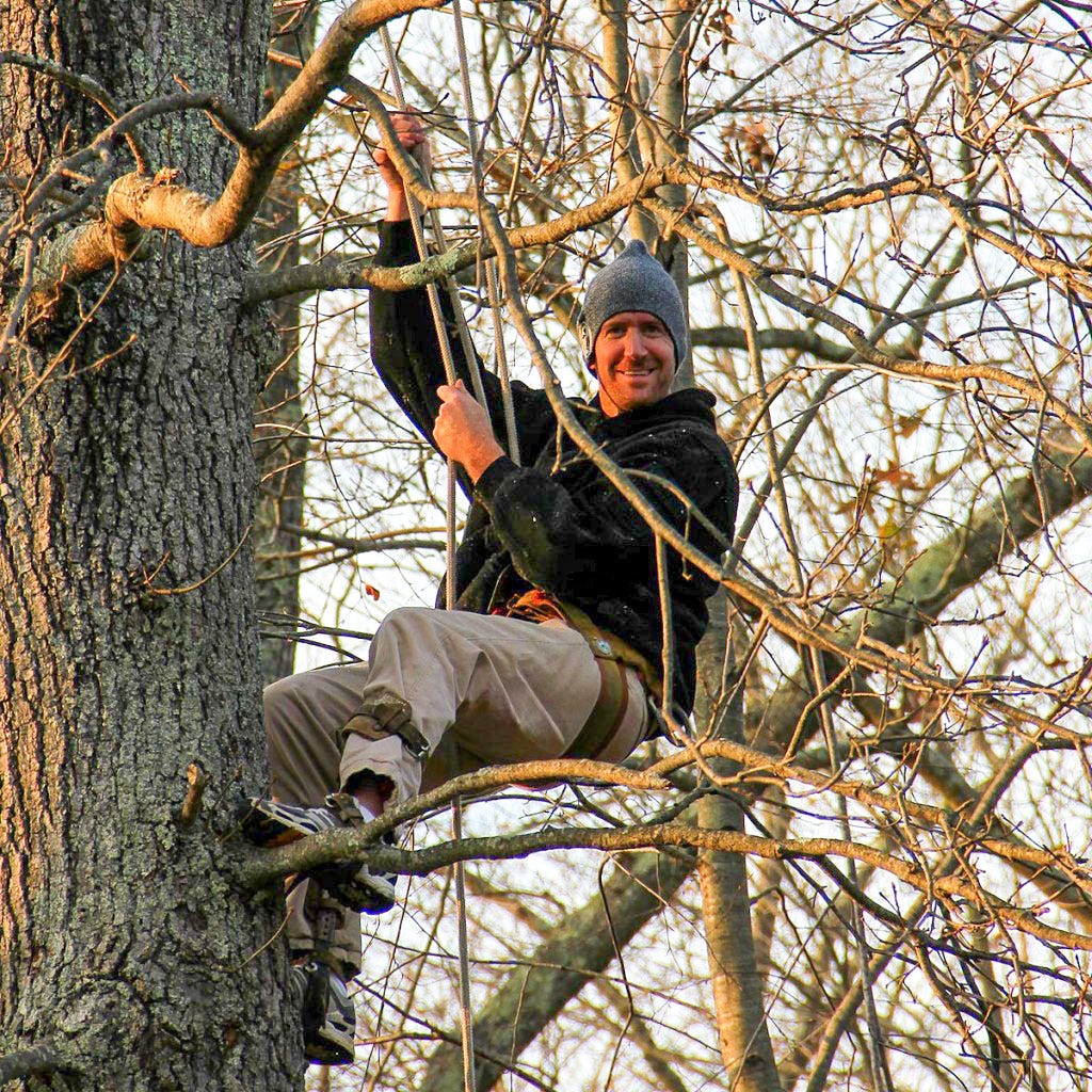 Jay Gaulard in Tree Jay Gaulard in Tree