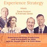 The Experience Strategist
