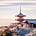 Japan Business Insights's avatar