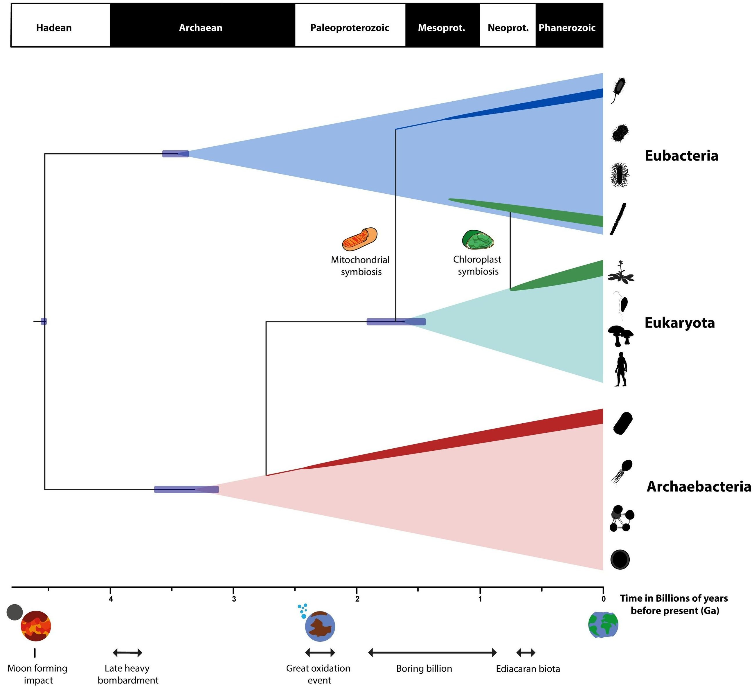 Metabolism, not cells or genetics, may have begun life on Earth