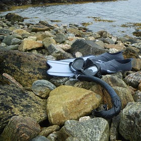 dispatch from an archipelago called Earth