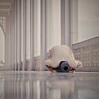 Political Islam Is Rank Populism That Perverts a Fundamentally Liberal Faith