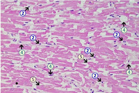 A picture containing text, bedclothes, fabric

Description automatically generated