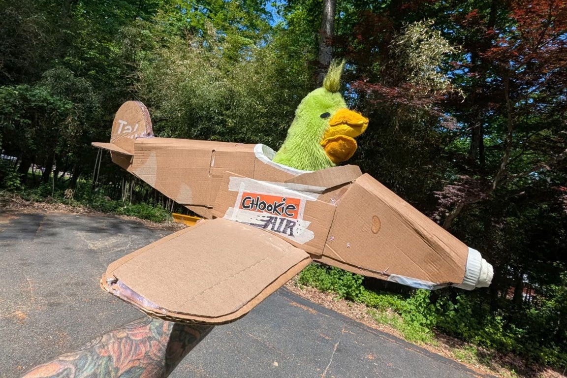 Photograph from Chookie featuring a stuffed bird in a cardboard airplane with the name "Chookie Air" handwritten on the side.