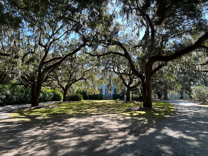charleston