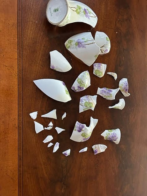 broken pieces of a porcelain vase, and a sketch of what the vase should look like when restored