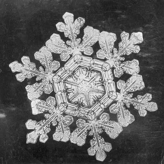 Snowflake study