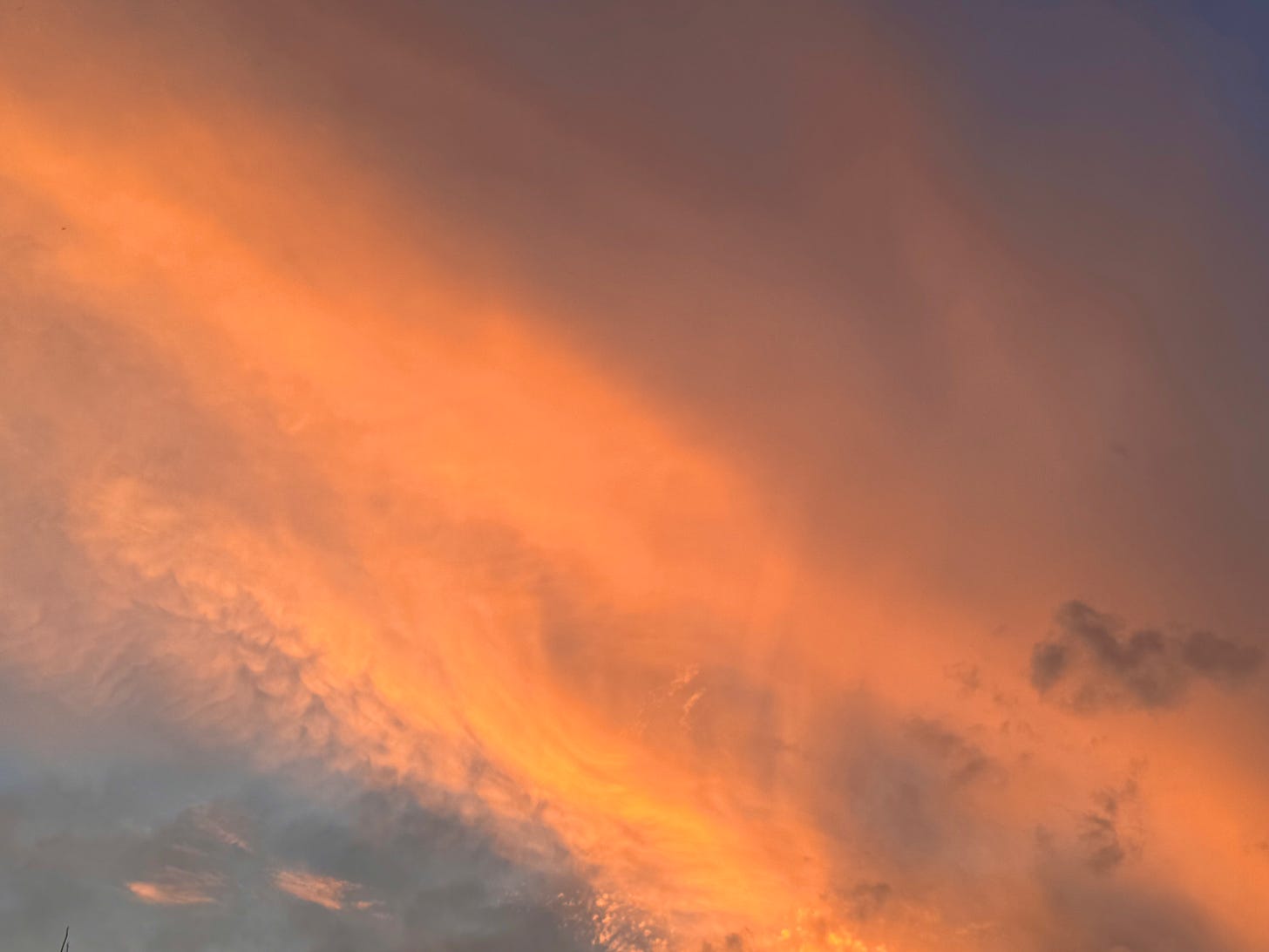 Orange clouds in blue sky