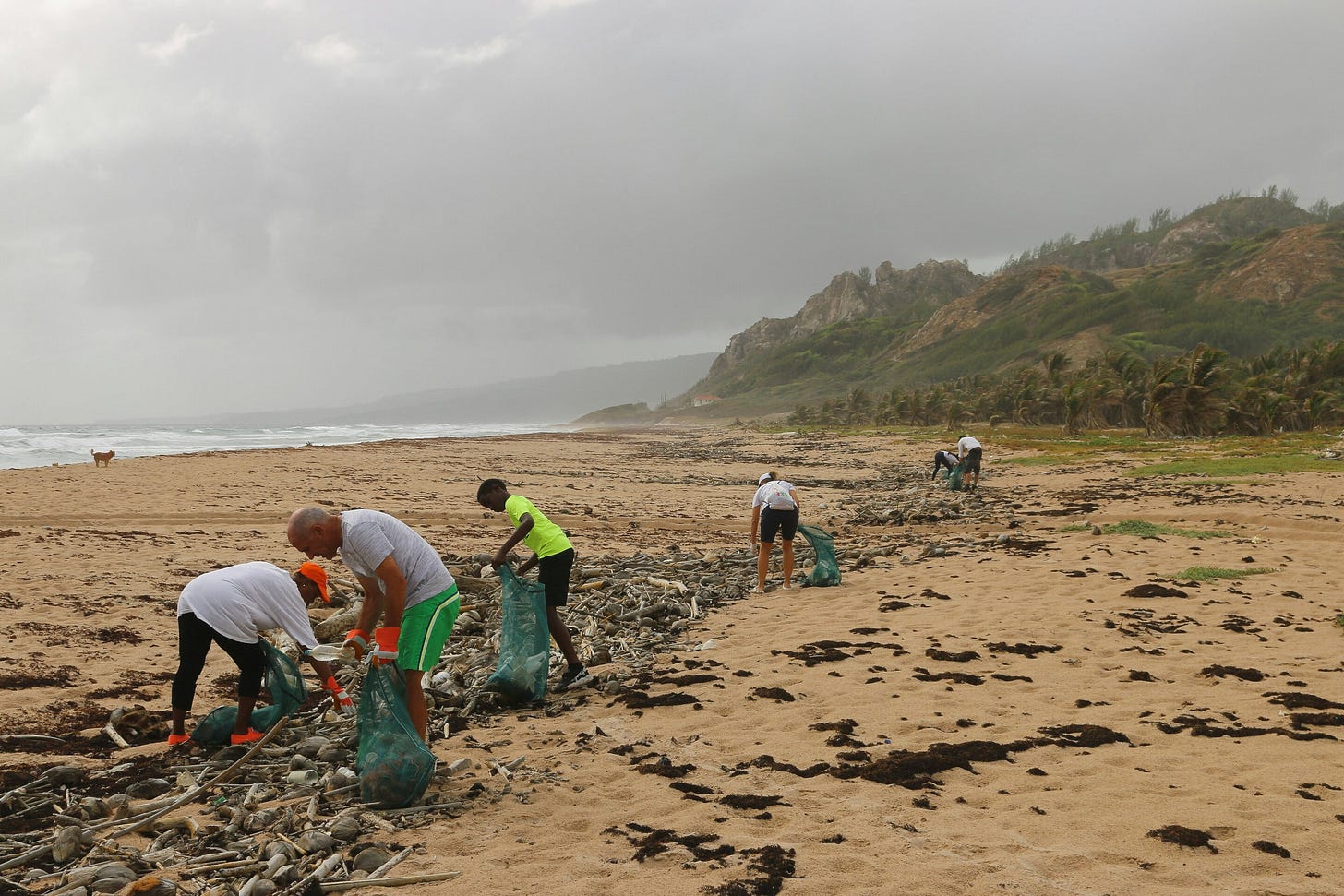 beach clean beach clean