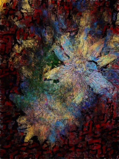 passion flowers - catharine j anderson