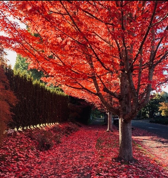 Last Things for the First Fruits of Macedonia