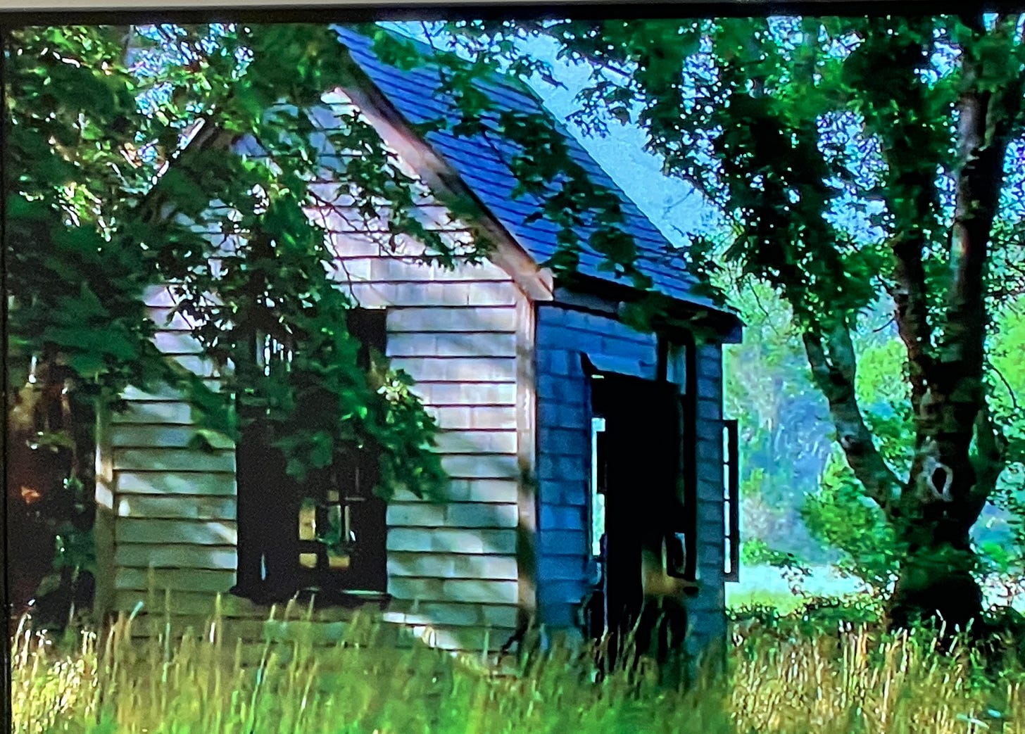 writer's shed