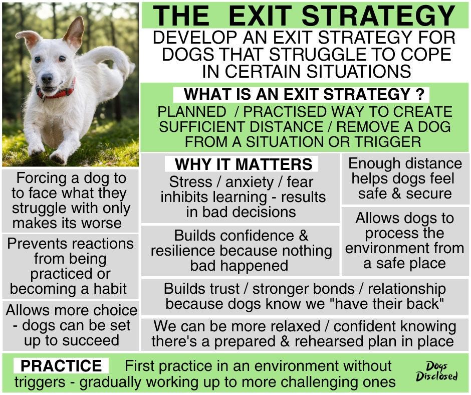 May be an image of dog and text