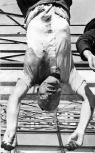 Similarities and Differences - Axis Powers of World War II