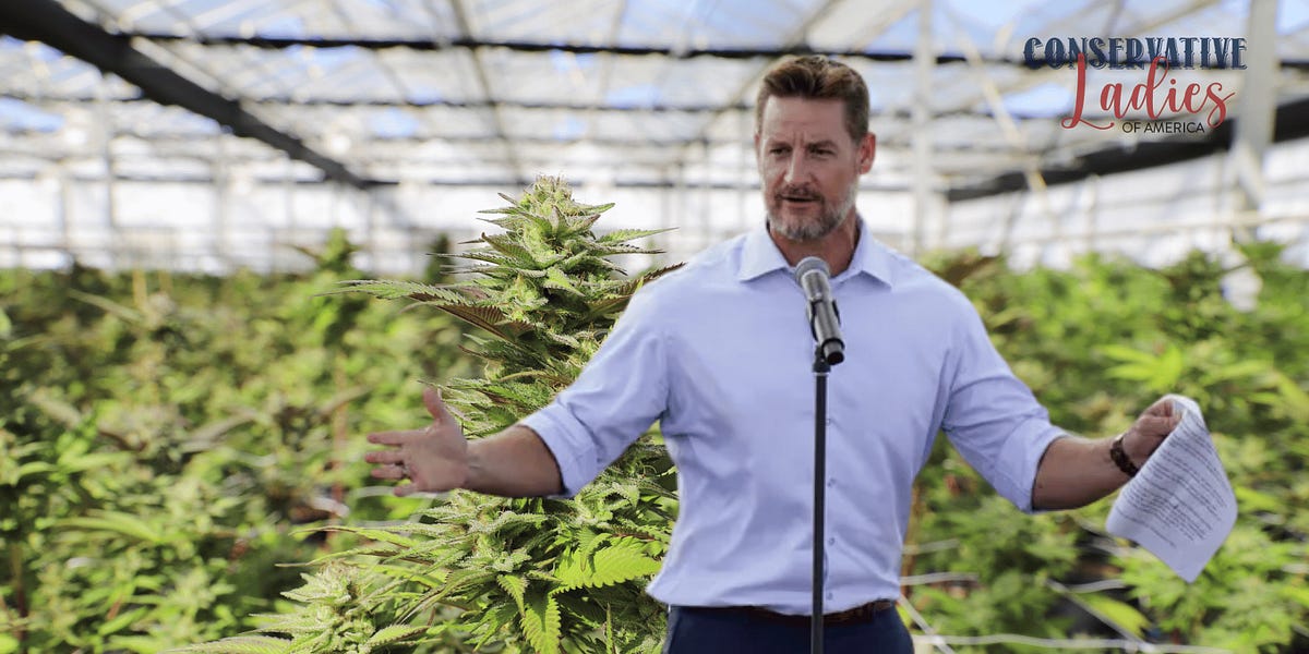 Why the &ldquo;Marijuana 1-to-3 Act&rdquo; Should Alarm You