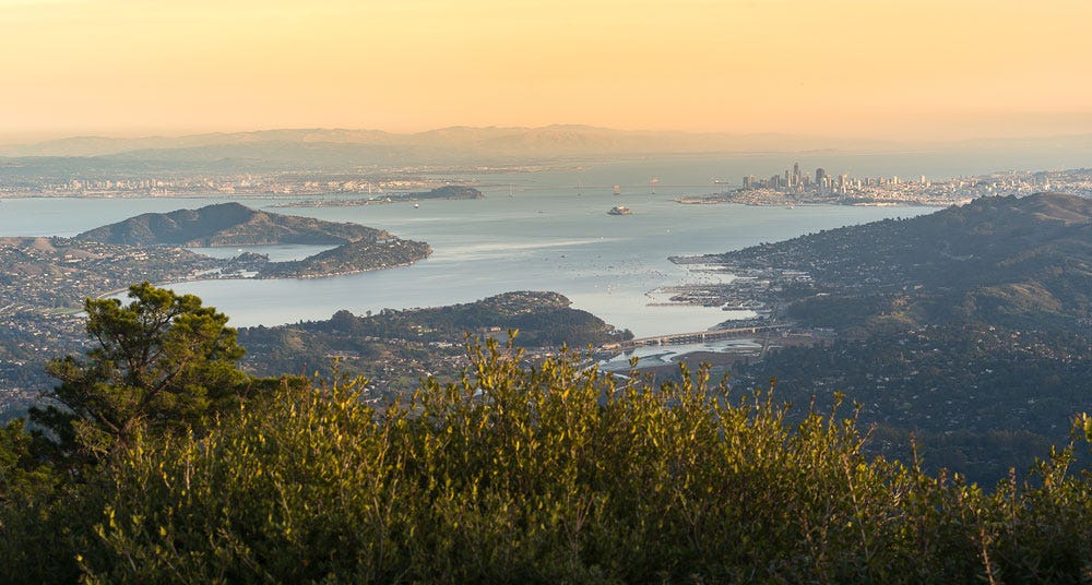The Bay Area is cursed