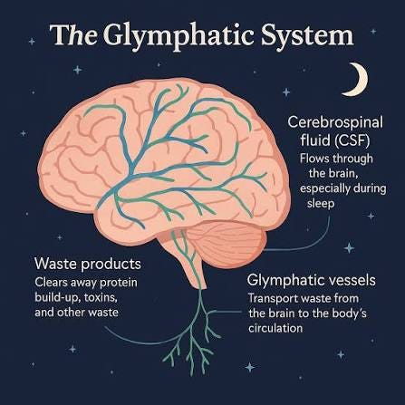 Fascinating read 🧠 … our bodies are just so clever! Make sure you get some sleep 💤 and keep that brain healthy!! Fascinating read 🧠 … our bodies are just so clever! Make sure you get some sleep 💤 and keep that brain healthy!!