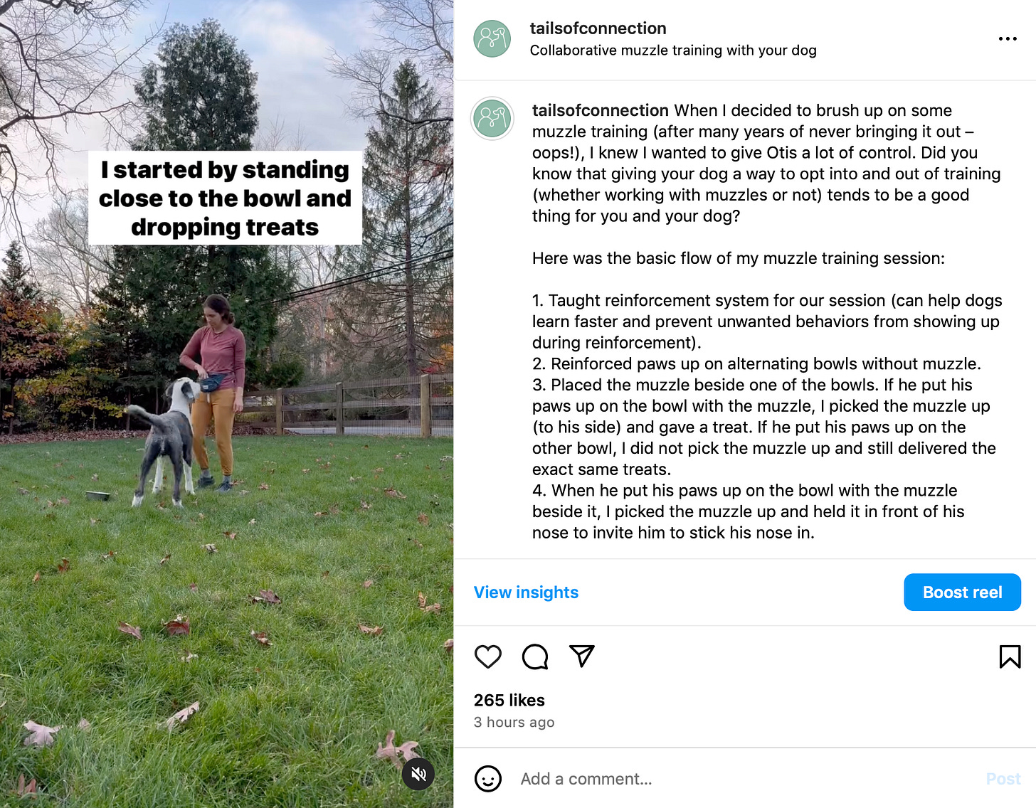 screenshot of TOC IG reel of getting started with muzzle training 