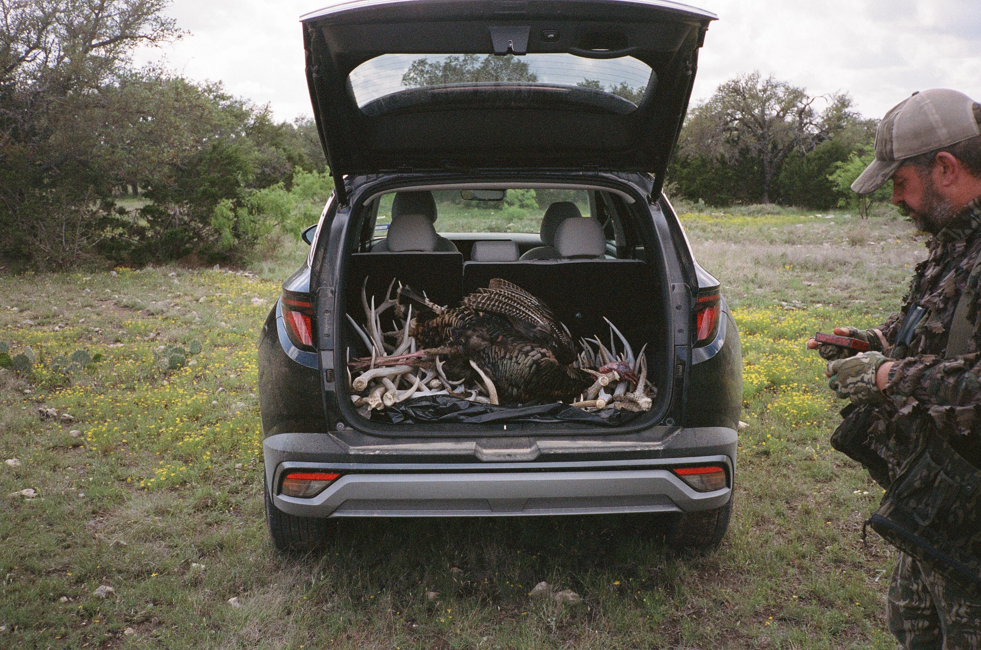Fare thee well: a turkey season recap on film