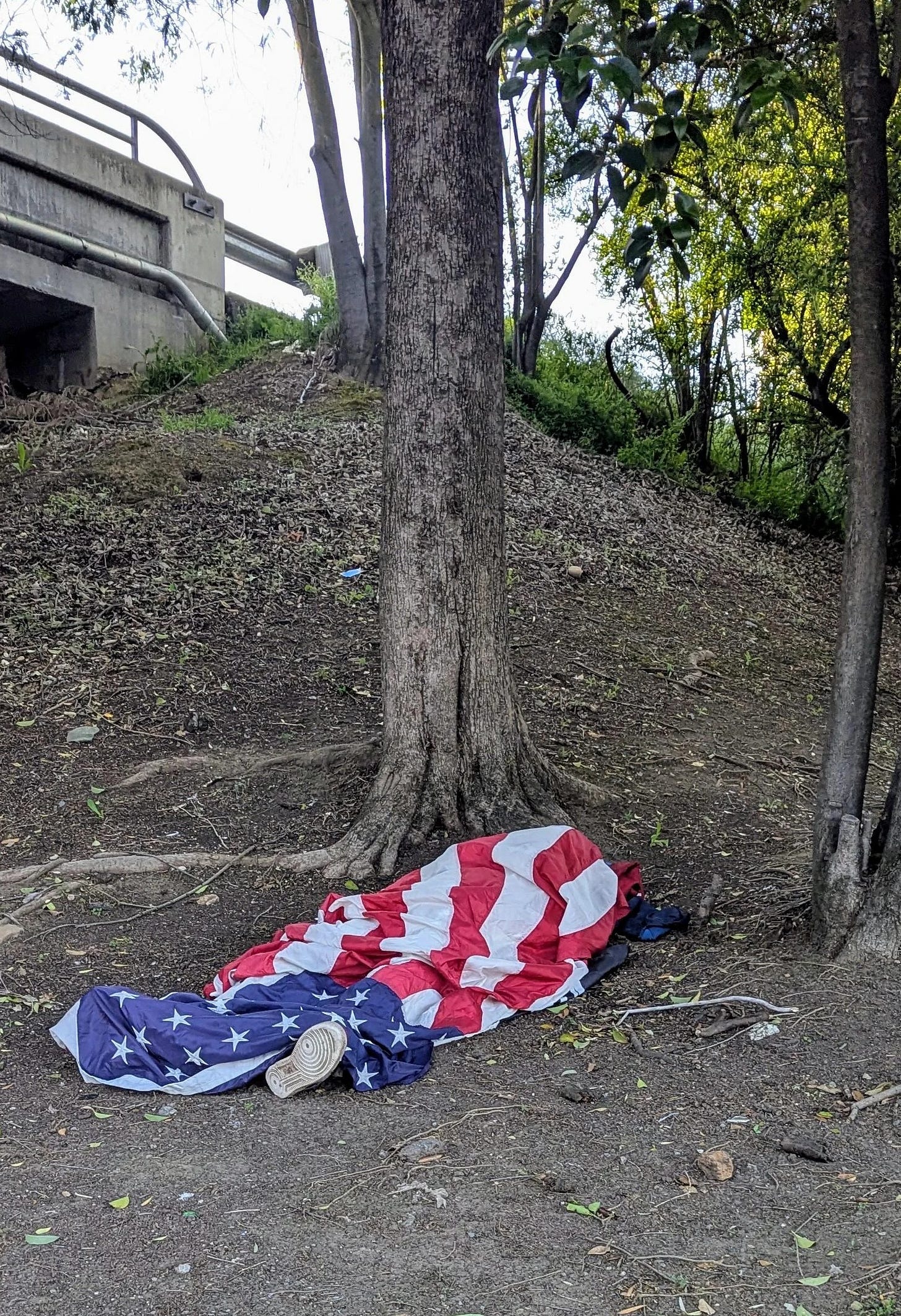 man wrapped in american flag passed out under a tree by an underpass