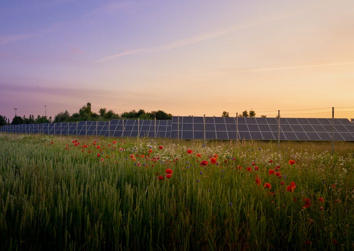 Perfect Poems for Earth Day 2026
