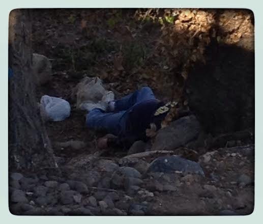 Sleeping down by the river, where's the van?