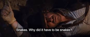 Who else here has a fear of snakes? : r ...