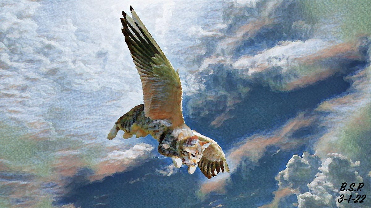 bxbandits.substack.com