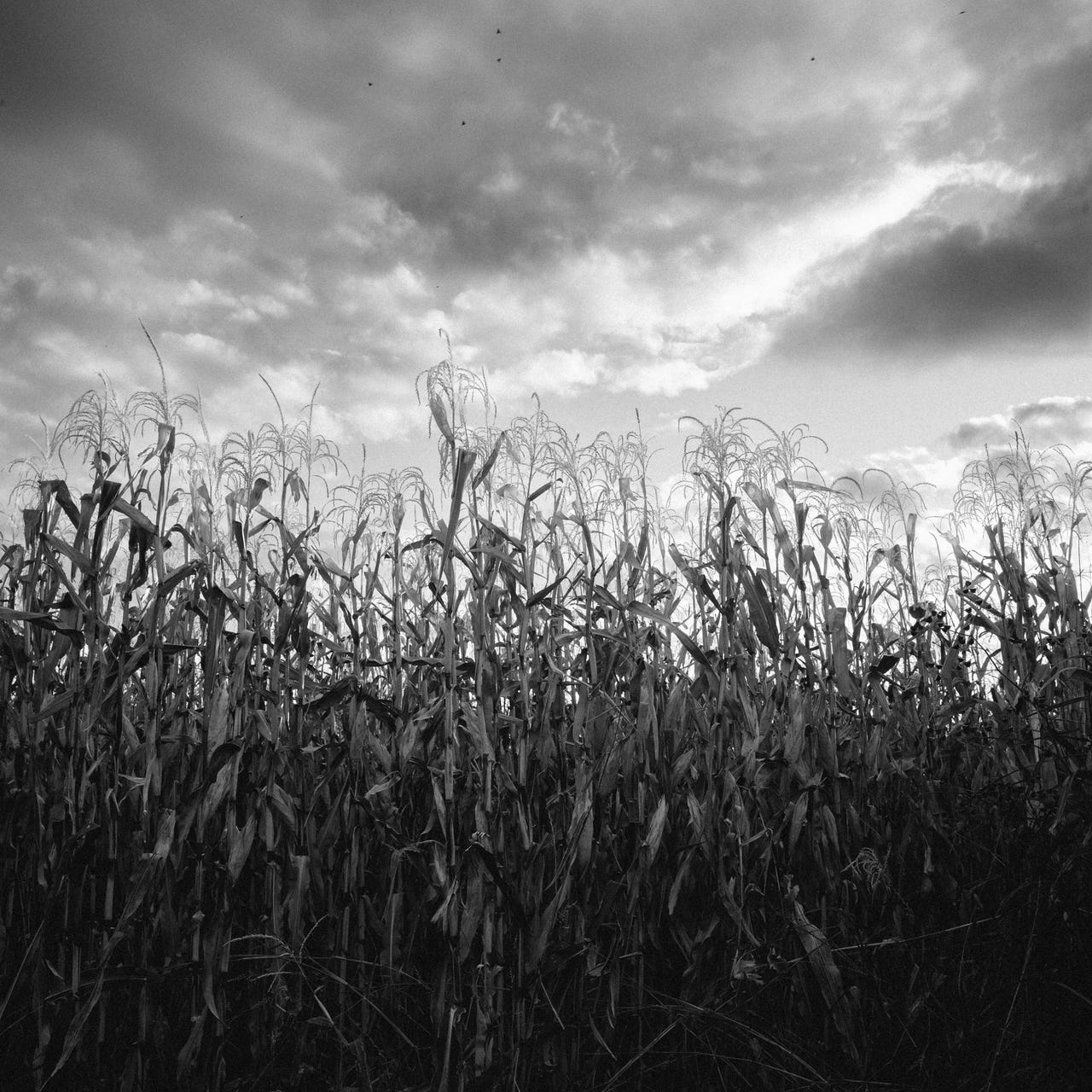 Behind the Photos - Benjamin Fargen