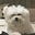Jess Rona's avatar
