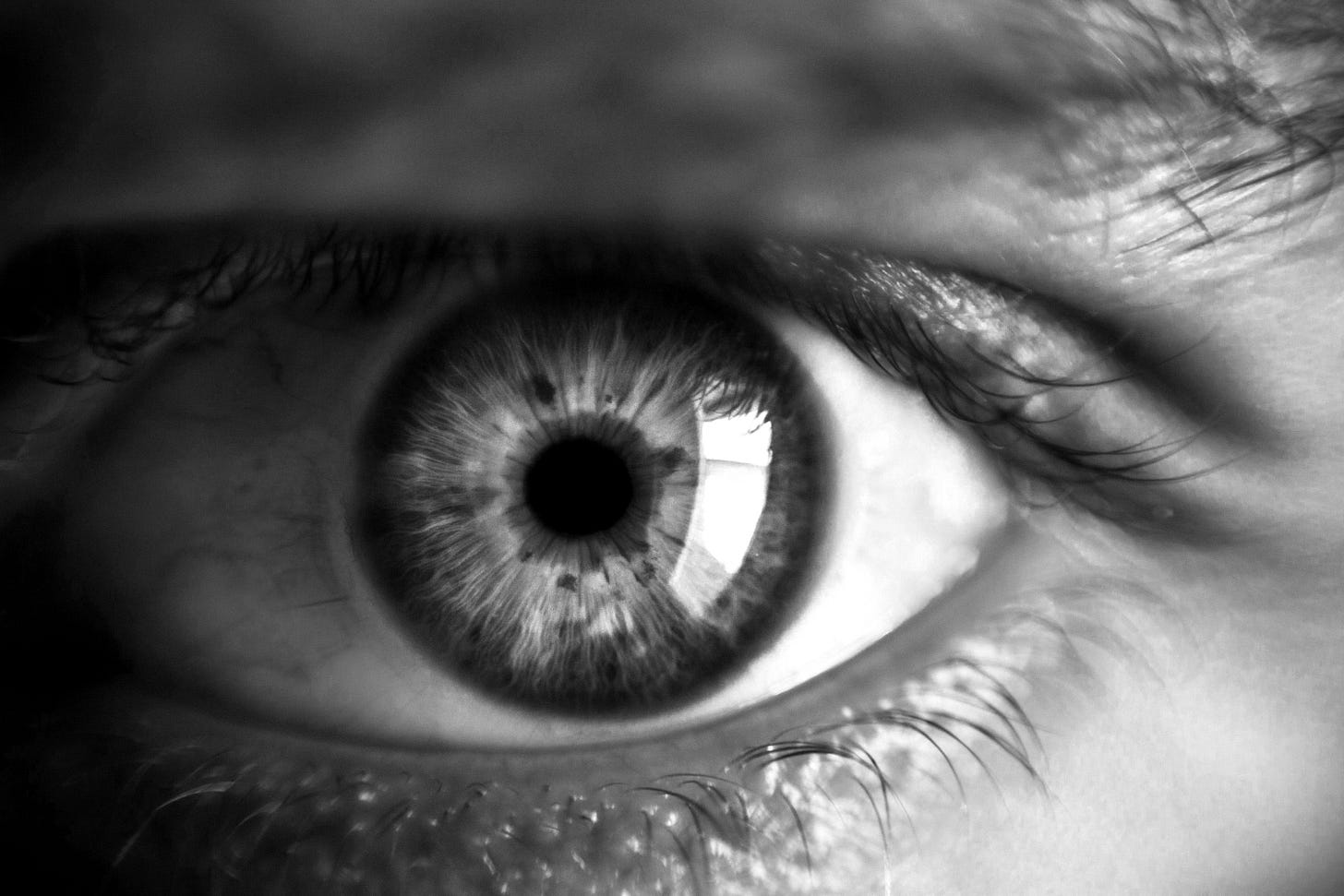 close-up photography of human eye close-up photography of human eye