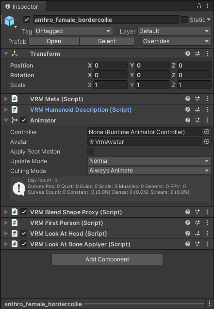 Setting VRM Template in Unity - by Vinny Tells - CG Paws