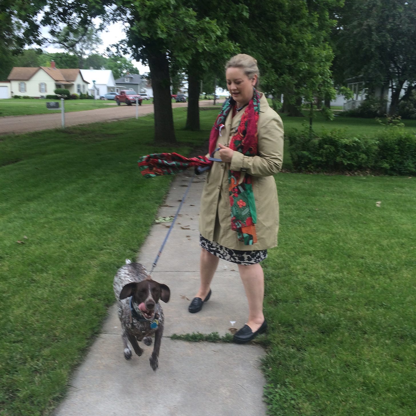 Woman walking a dog along a path after rain, surrounded by trees. Woman walking a dog along a path after rain, surrounded by trees.